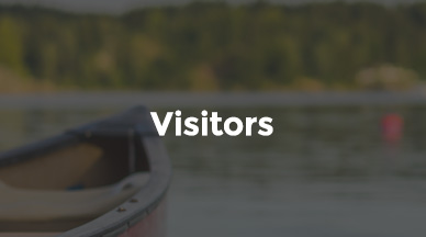 Visitors